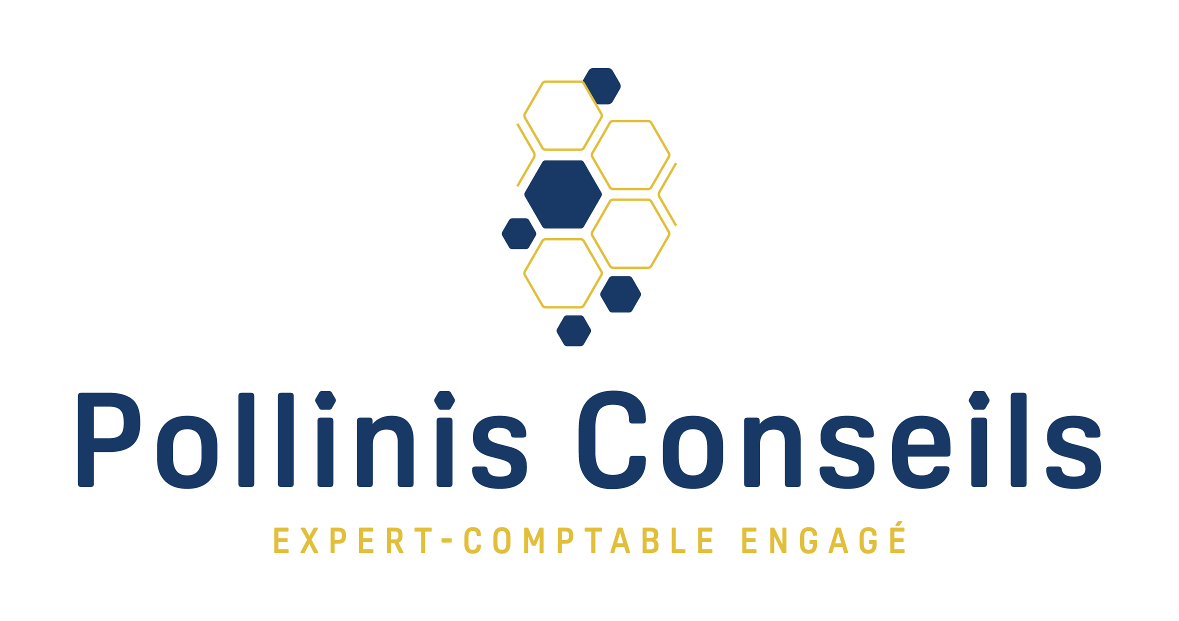 Logo Pollinis Conseils